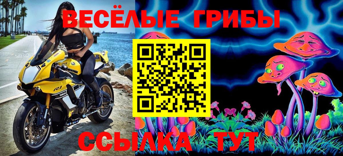 Иркутск  Галлюциногенные грибы мухоморы  Вход с VPN 